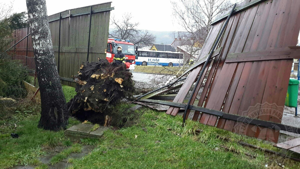 Strom Moravská Třebová