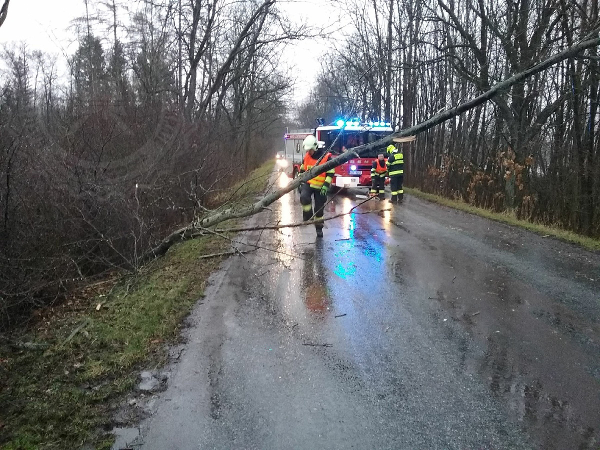 strom Dříteč Hrádek