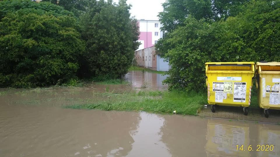 Přelouč - Račanský rybník a potok / Foto: David Pospíšil