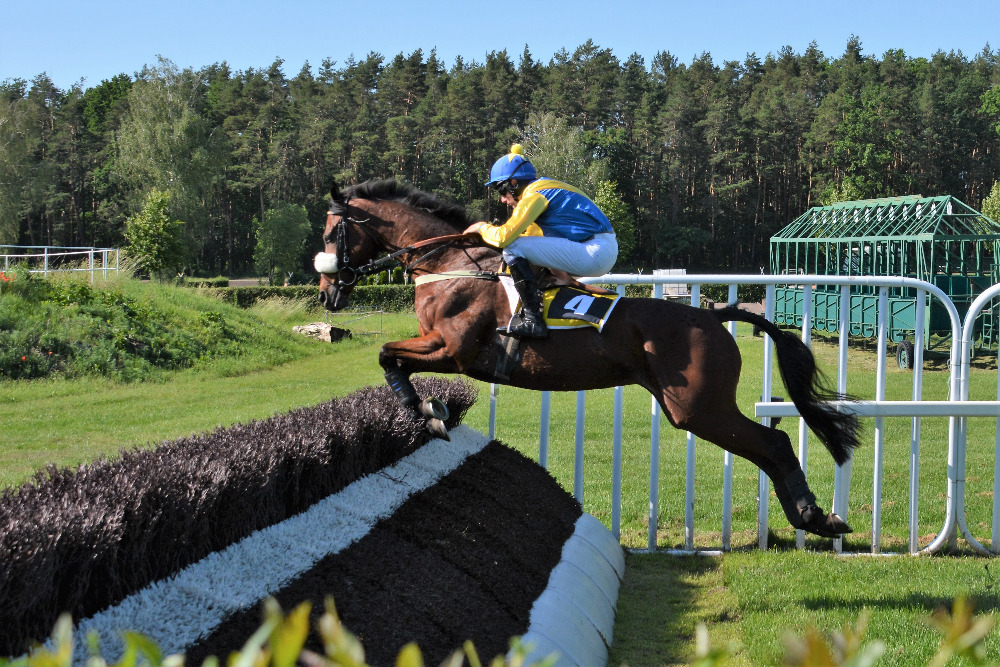 Zlatý pohár 8. června 2019 | Foto: Jiří Bělohlav