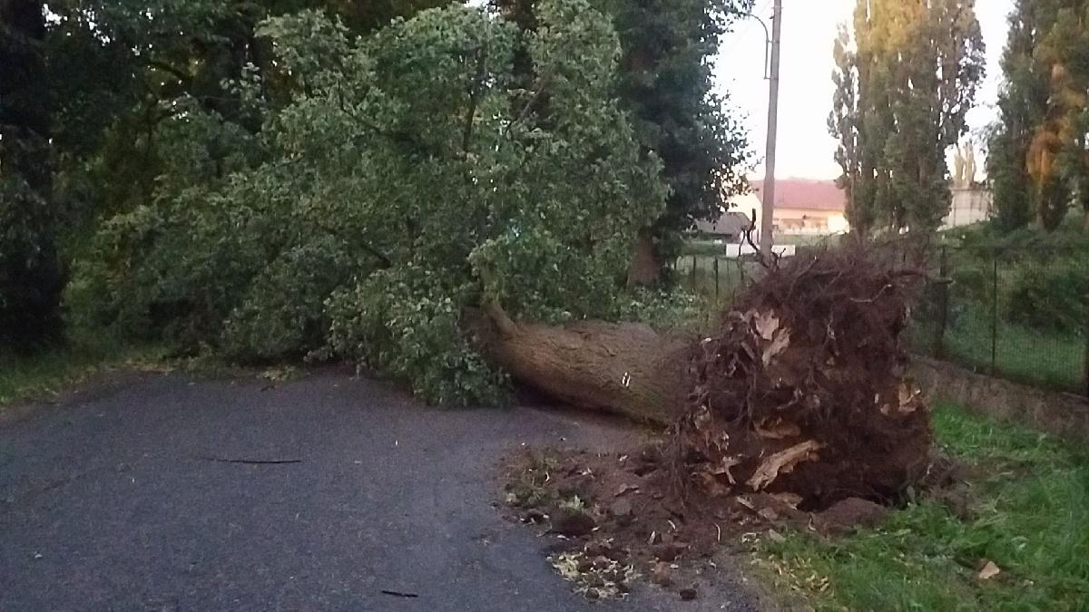 Varování meteorologů se naplnilo. Přes Pardubický kraj se v úterý ve večerních hodinách přehnala silná bouřka, která způsobila převážně pády stromů.