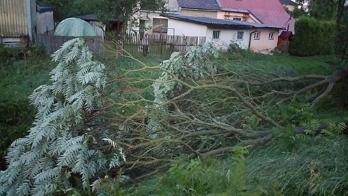 Varování meteorologů se naplnilo. Přes Pardubický kraj se v úterý ve večerních hodinách přehnala silná bouřka, která způsobila převážně pády stromů.