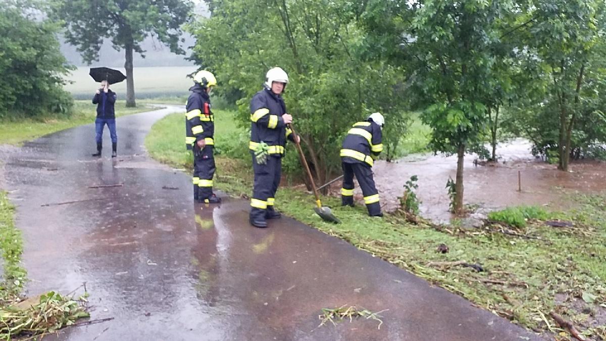 Hasiči odčerpávali vodu a odstraňovali spadlé stromy