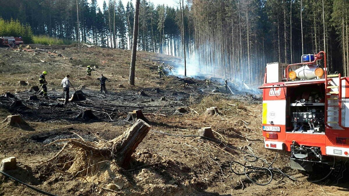 Profesionální a dobrovolní hasiči z Pardubického kraje zasahovali včera 6.dubna u třinácti požárů lesního porostu.