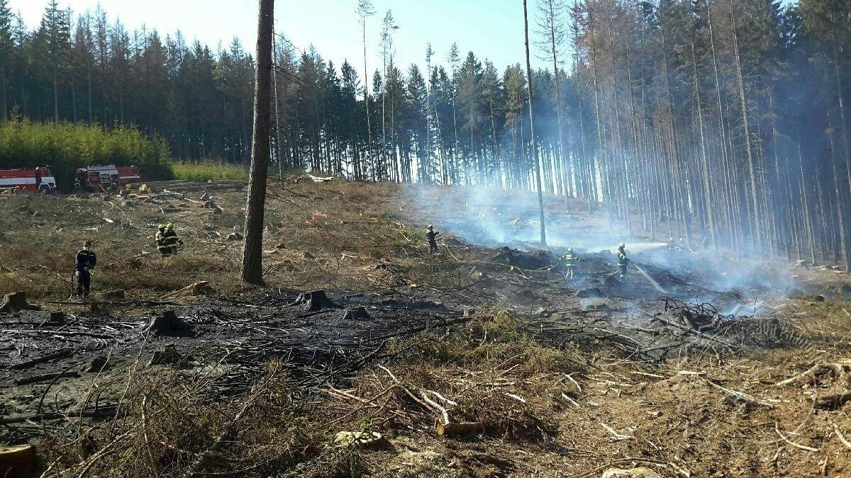 Profesionální a dobrovolní hasiči z Pardubického kraje zasahovali včera 6.dubna u třinácti požárů lesního porostu.