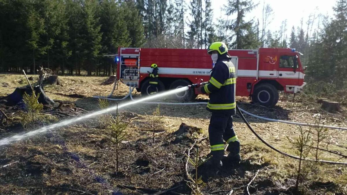 Profesionální a dobrovolní hasiči z Pardubického kraje zasahovali včera 6.dubna u třinácti požárů lesního porostu.