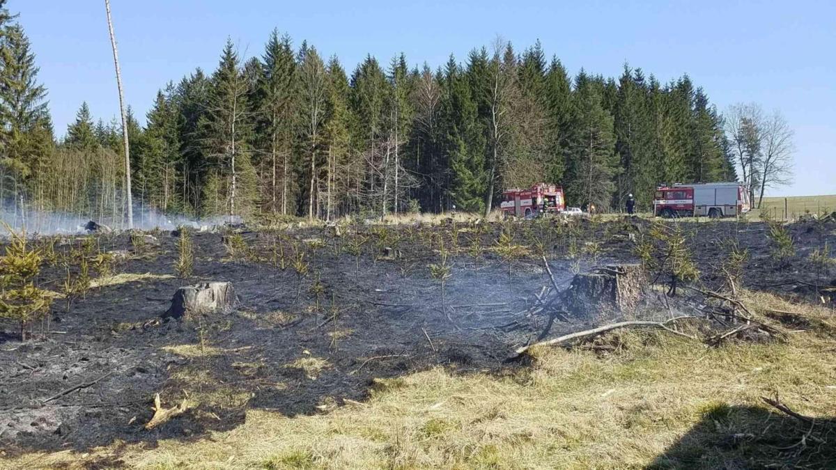 Profesionální a dobrovolní hasiči z Pardubického kraje zasahovali včera 6.dubna u třinácti požárů lesního porostu.