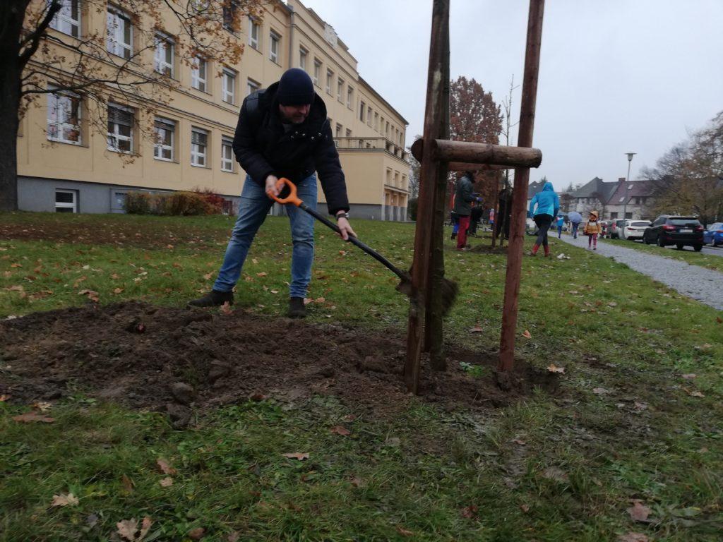 Zastupitelé sázeli na Spořilově stromy.