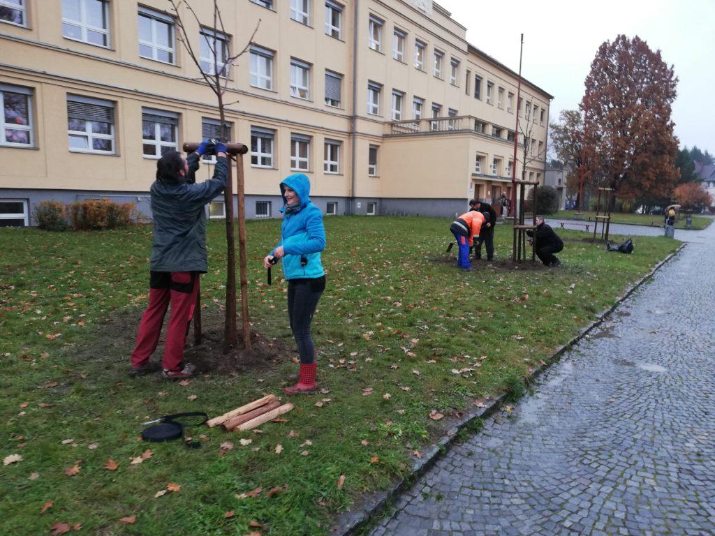 Zastupitelé sázeli na Spořilově stromy.