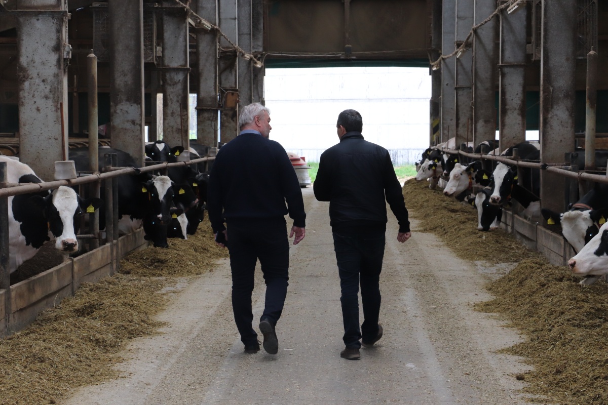 V Řetové produkují lépe stravitelné A2 mléko