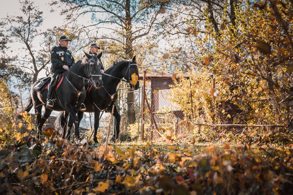 Strážníci kontrolují chatové oblasti a zahrádkářské kolonie...