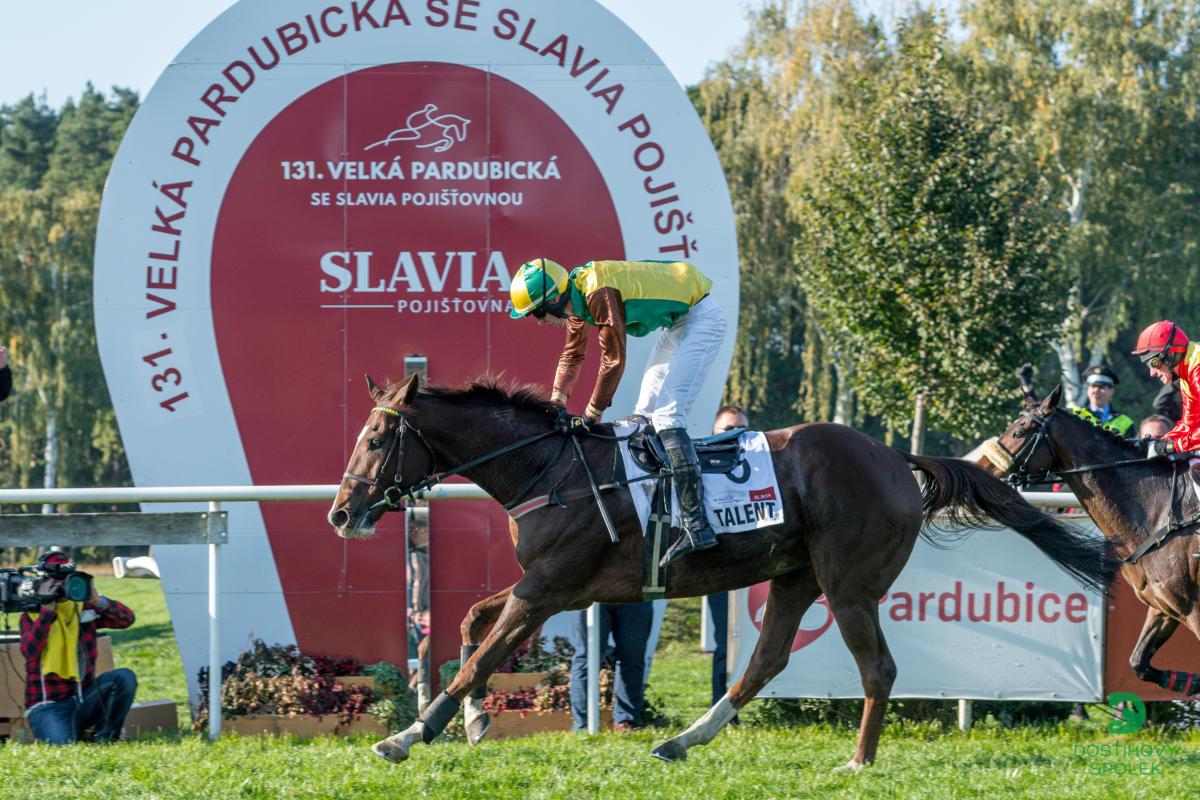 Ve 131. Velké pardubické se Slavia pojišťovnou zvítězil desetiletý ryzák stáje DS Kabelkovi TALENT.