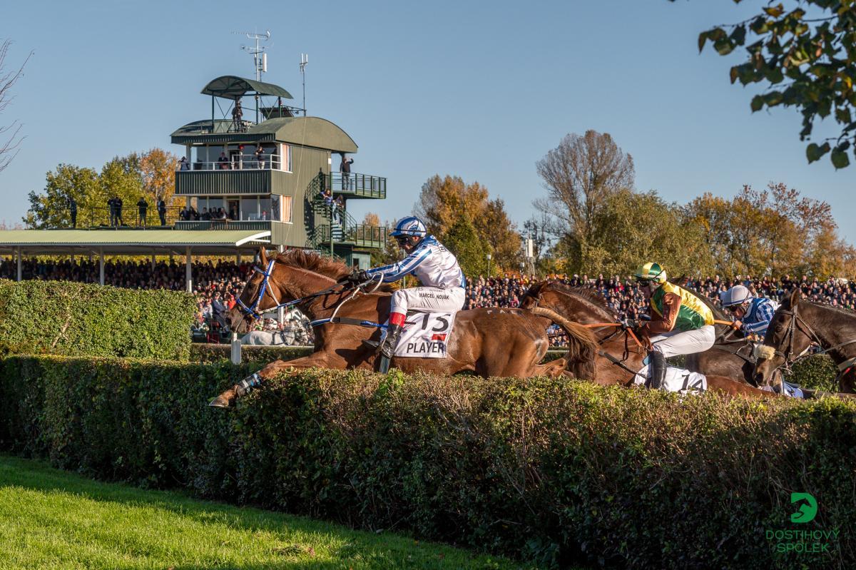 Vítězem 132. Velké pardubické se Slavia pojišťovnou je Mr Spex