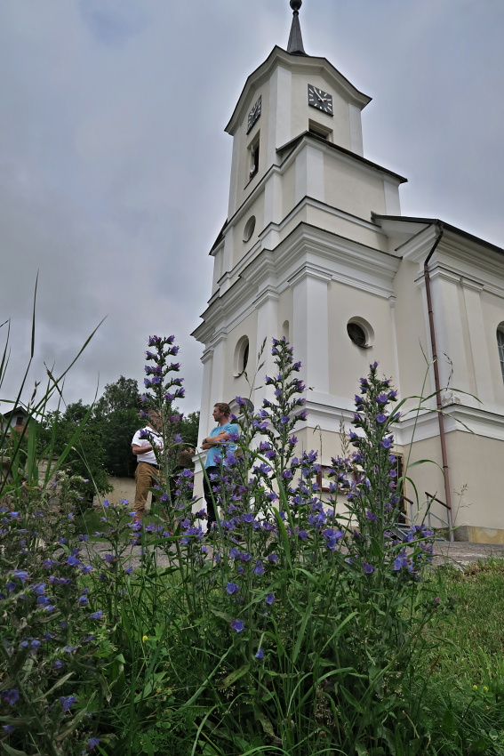 Věž kostela