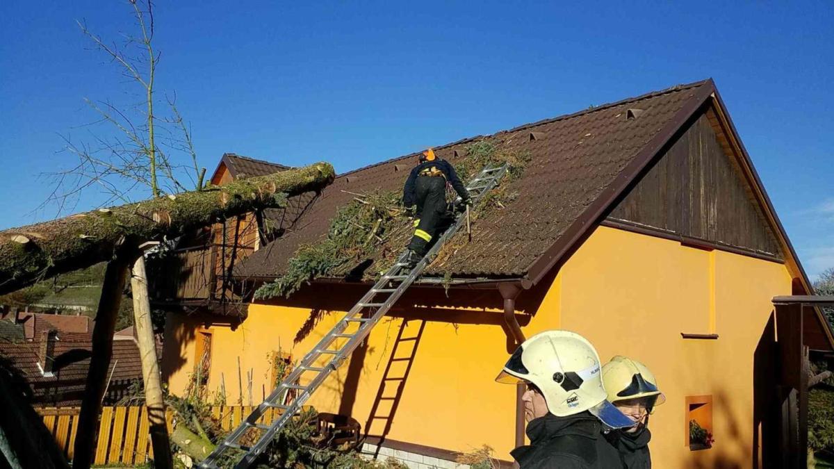 strom na střeše Hluboká