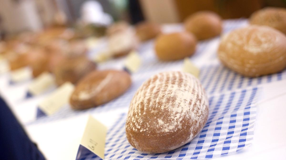 Žáci potravinářské školy hodnotili chléb