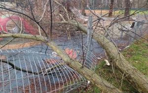 Dětské hřiště uzavřela spadlá větev