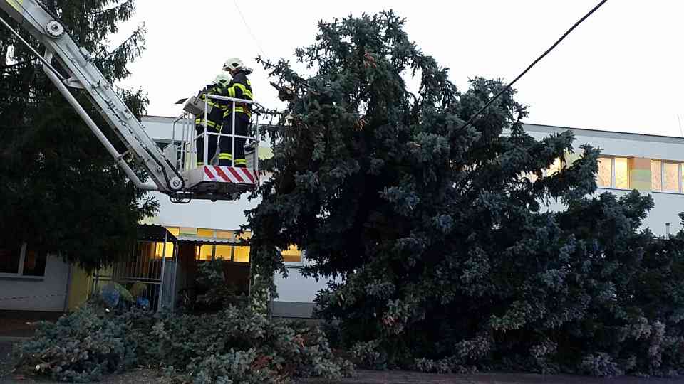 Strom Pardubice